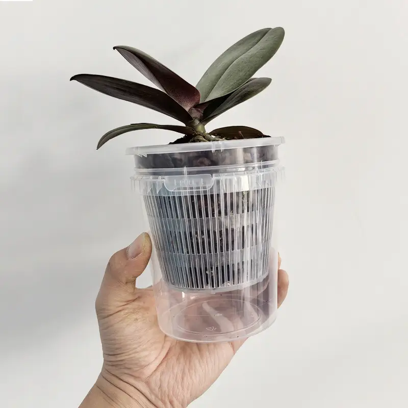 Lazy Man Automatic Absorbent Flower Pot Phalaenopsis Water Storage Root Control Root Raising Simple Conservation Watering Free Novice Scheme — feature 1