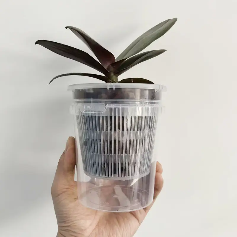 Lazy Man Automatic Absorbent Flower Pot Phalaenopsis Water Storage Root Control Root Raising Simple Conservation Watering Free Novice Scheme — feature 2