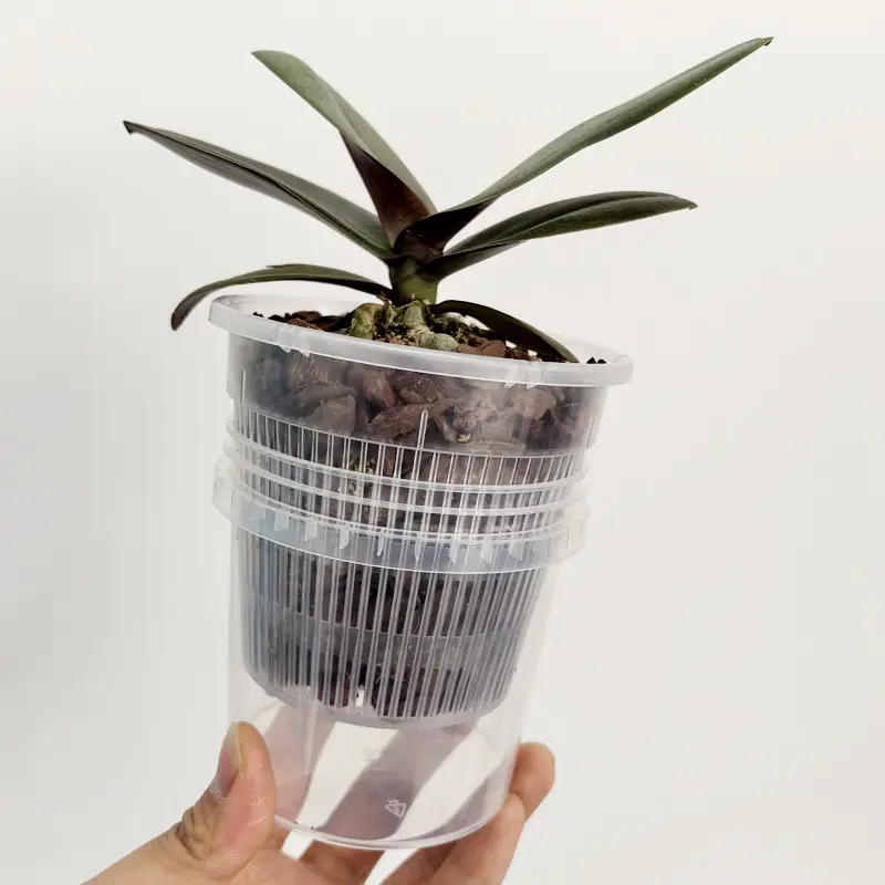 Lazy Man Automatic Absorbent Flower Pot Phalaenopsis Water Storage Root Control Root Raising Simple Conservation Watering Free Novice Scheme — feature 4