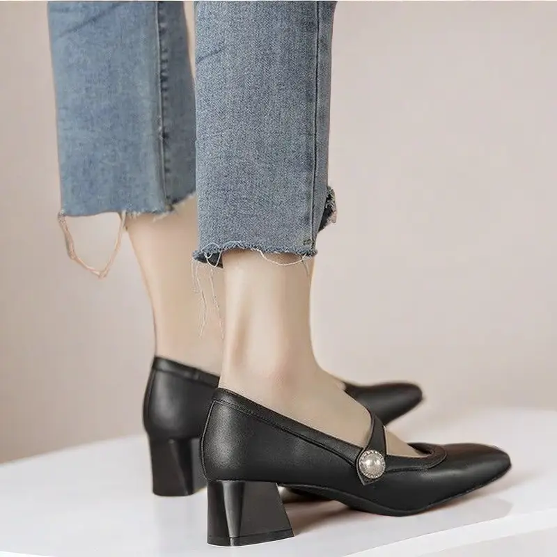 Mary Jane Shoes for Women 2026 Spring and Autumn New Style Chunky Heel Shallow Single Shoes Square Toe Cheongsam Hanfu High Heels — feature 1