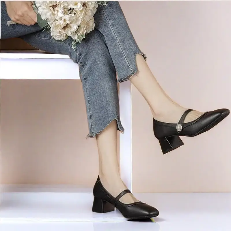 Mary Jane Shoes for Women 2026 Spring and Autumn New Style Chunky Heel Shallow Single Shoes Square Toe Cheongsam Hanfu High Heels — feature 2