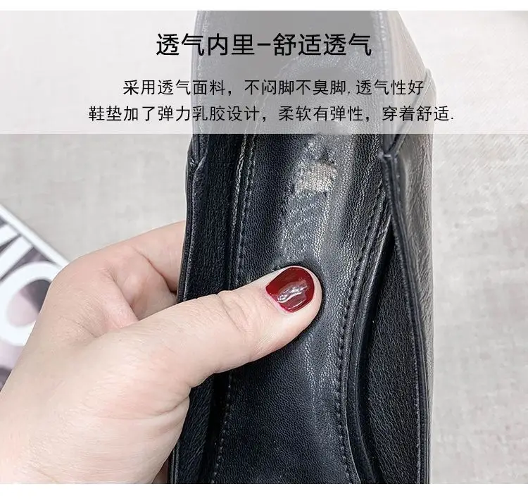 Pointed Toe High Heels for Women 2026 Spring Autumn â feature 10