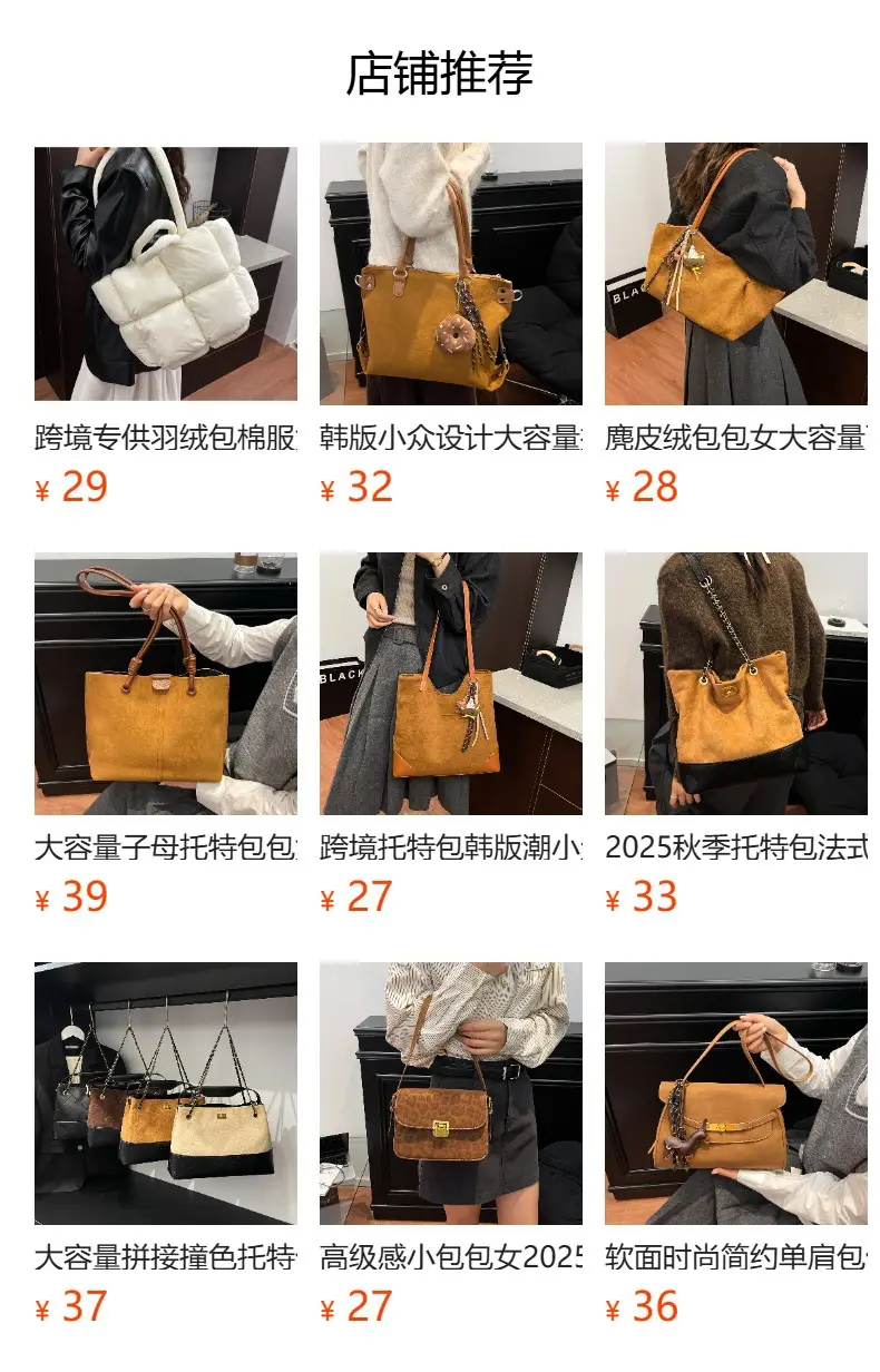 Gray Korean Style Shoulder Bag for Women 2026 — feature 1