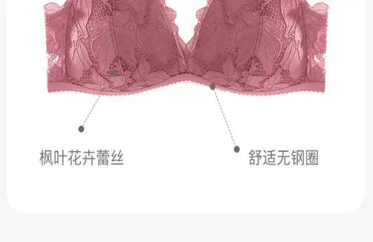 Black Lace Triangle Cup Bra Small Chest Push Up — feature 11