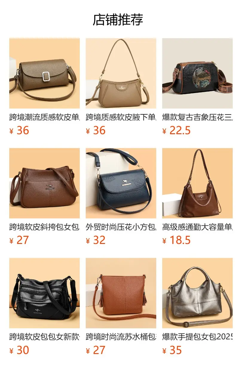 Brown Leather Shoulder Bag for Women with Double Layer Design — feature 1