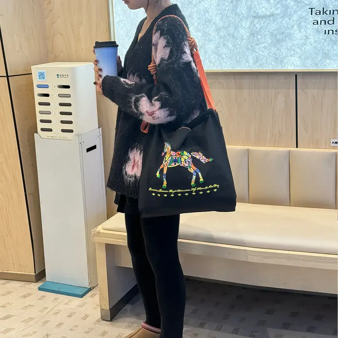 Women Embroidered Crossbody Bag with Ballchain Design - Image 138