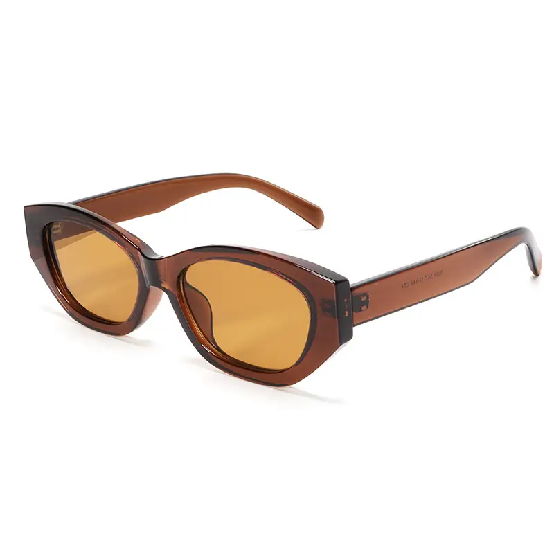 Women's Hawk's Nest Cat Eye Sunglasses TR90