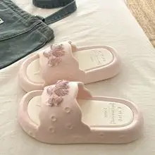 Cartoon Clogs for Women to Wear Outside, Versatile Thick-Soled Non-Slip Cold Sweat Removable Eva Cute Baotou Slippers for Dogs — feature 17