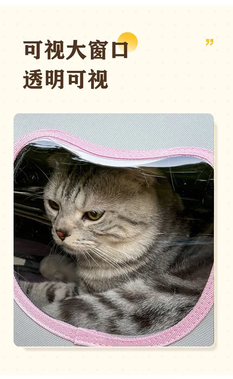 Folding Pet Bag for Cat & Dog Portable Breathable Space Capsule — feature 24