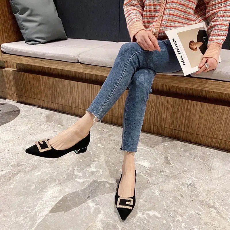 Thick-Heeled Women's Shoes 2026 New Spring and Autumn Pointed Toe Shallow High Heels Comfortable Suede Professional Black Work Shoes