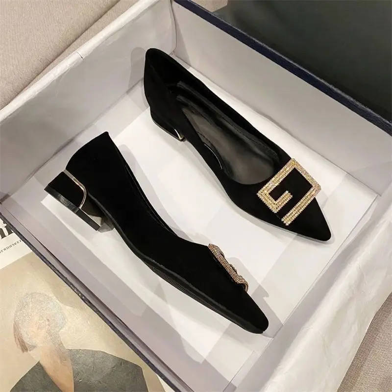 Thick-Heeled Women's Shoes 2026 New Spring and Autumn Pointed Toe Shallow High Heels Comfortable Suede Professional Black Work Shoes