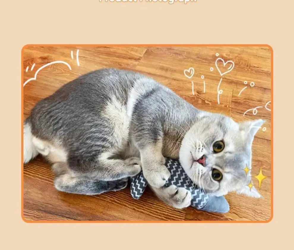 Cat Toys for Self-Entertainment, Bite-Resistant, Factory-Made Boredom-Relief Catnip, Realistic Fish-Shaped Kitten Toys, Cat Teaser Stick, Large Quantity for Kittens — feature 9
