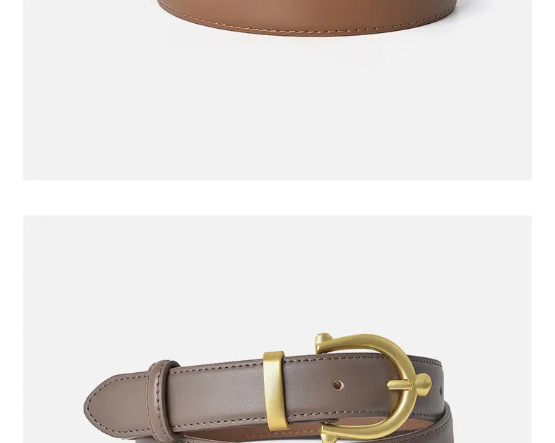 Gold Plated Women's Belt for Casual Wear — feature 11