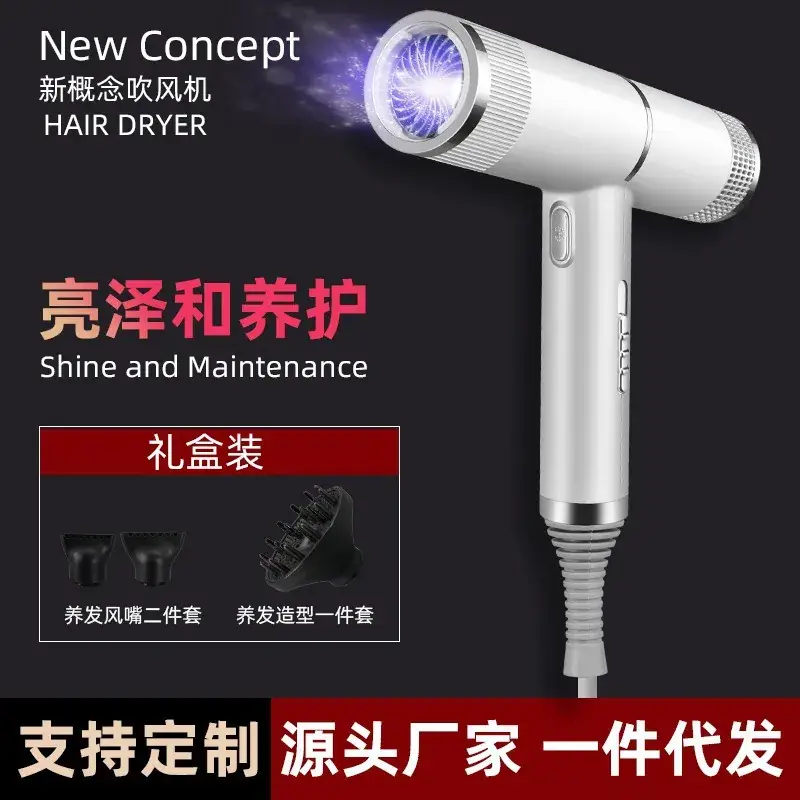 Silver High-Speed Hair Dryer with Negative Ion & Wind Filter