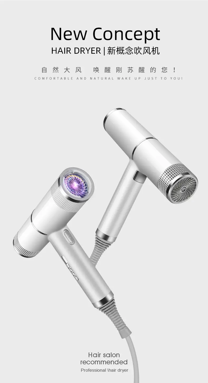 Silver High-Speed Hair Dryer with Negative Ion & Wind Filter — feature 1