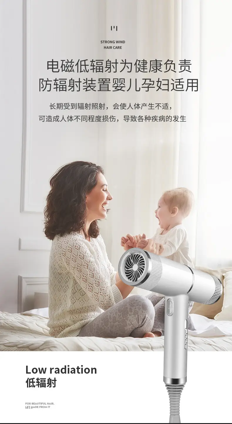 Silver High-Speed Hair Dryer with Negative Ion & Wind Filter — feature 11