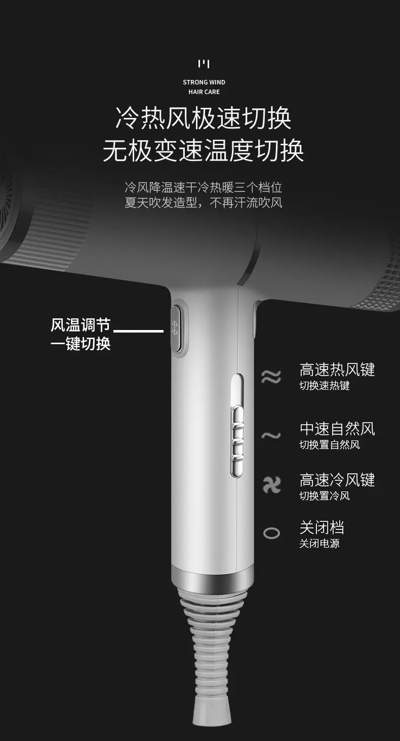Silver High-Speed Hair Dryer with Negative Ion & Wind Filter — feature 12