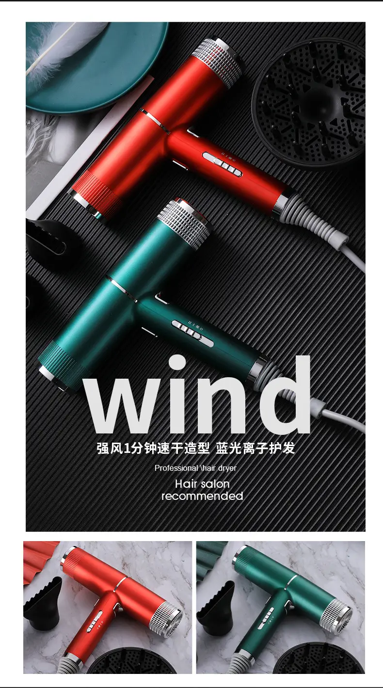 Silver High-Speed Hair Dryer with Negative Ion & Wind Filter — feature 13