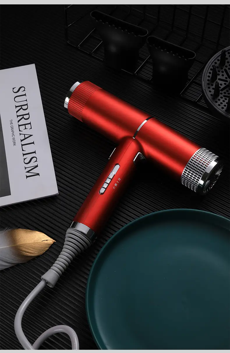 Silver High-Speed Hair Dryer with Negative Ion & Wind Filter — feature 18