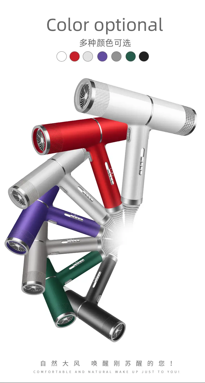 Silver High-Speed Hair Dryer with Negative Ion & Wind Filter — feature 3