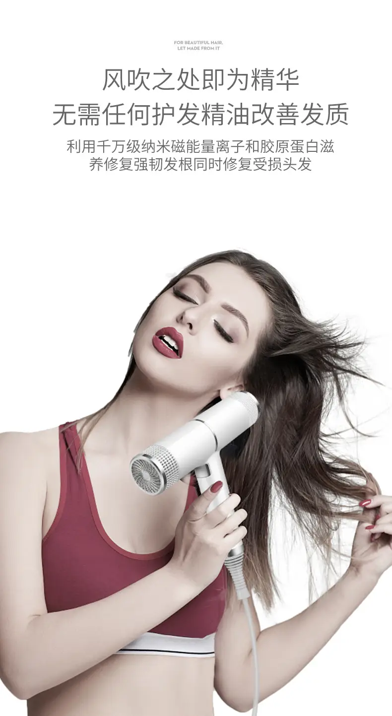 Silver High-Speed Hair Dryer with Negative Ion & Wind Filter — feature 7