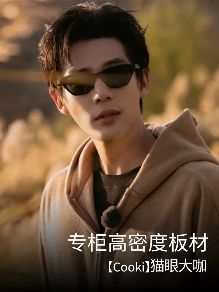 Wang Jia Er Sunglasses Bc9085 Square Round Cat Eye Polarized β feature 3