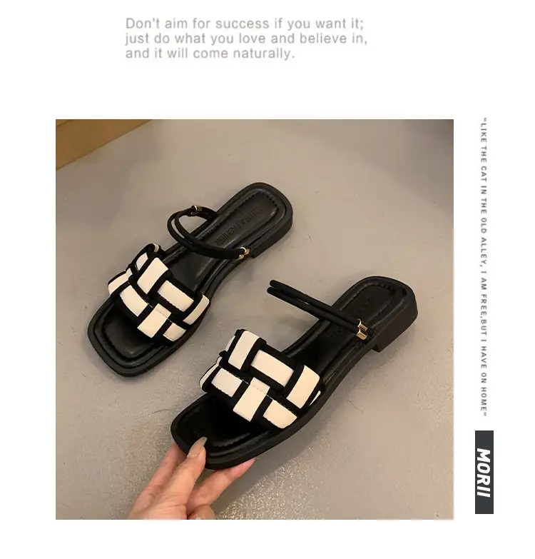 Flat Two-Wear Sandals for Women, French Fairy Style, Summer Fashion with Skirts, Elegant Outer Wear, Versatile Roman Sandals — feature 14