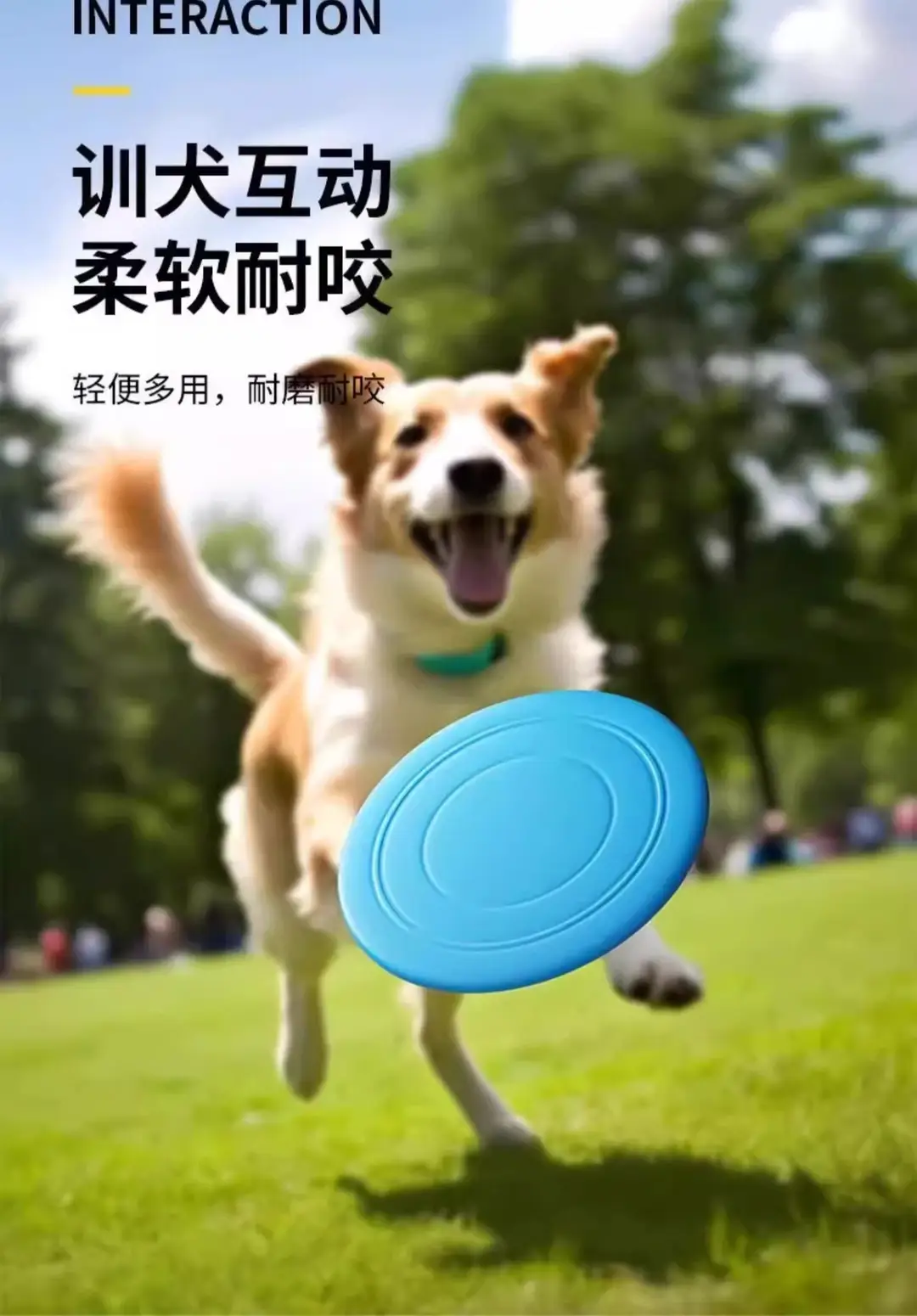Dog Frisbee Dog Soft Frisbee Border Collie Supplies Pet Toys Bite-Resistant Training Frisbee Golden Retriever Dog Supplies — feature 8