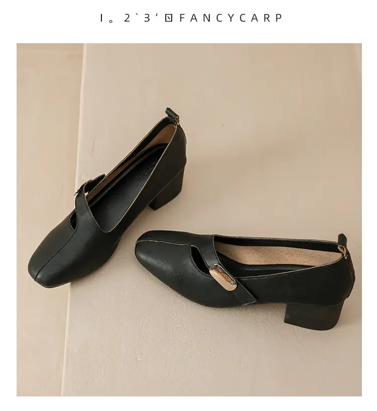 2025 Spring New Retro Fashion Shallow Mouth Elegant Fashionable Square Heeled Fashion Single-layer Shoes Square Toe Mary Jane Shoes for Women — feature 22