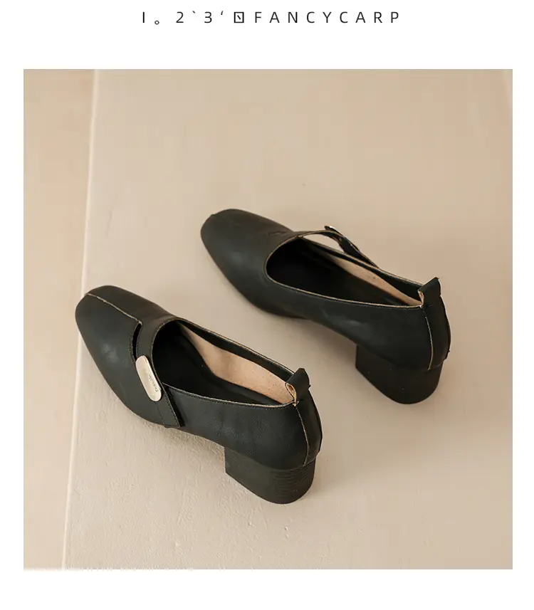 2025 Spring New Retro Fashion Shallow Mouth Elegant Fashionable Square Heeled Fashion Single-layer Shoes Square Toe Mary Jane Shoes for Women — feature 23