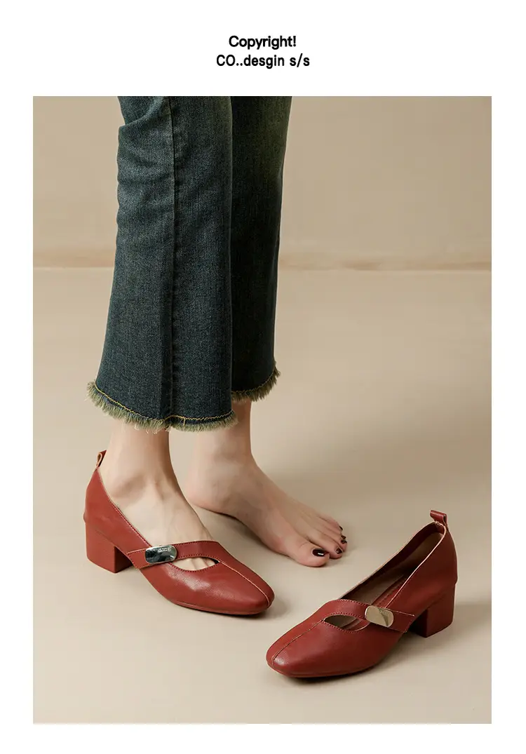 2025 Spring New Retro Fashion Shallow Mouth Elegant Fashionable Square Heeled Fashion Single-layer Shoes Square Toe Mary Jane Shoes for Women — feature 33