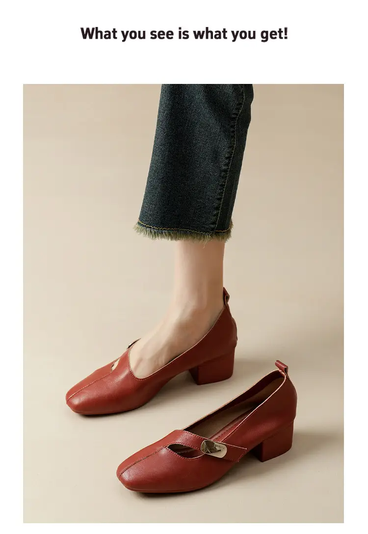 2025 Spring New Retro Fashion Shallow Mouth Elegant Fashionable Square Heeled Fashion Single-layer Shoes Square Toe Mary Jane Shoes for Women — feature 34