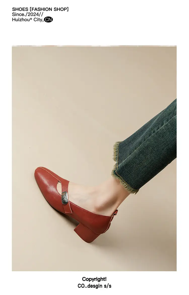 2025 Spring New Retro Fashion Shallow Mouth Elegant Fashionable Square Heeled Fashion Single-layer Shoes Square Toe Mary Jane Shoes for Women — feature 35