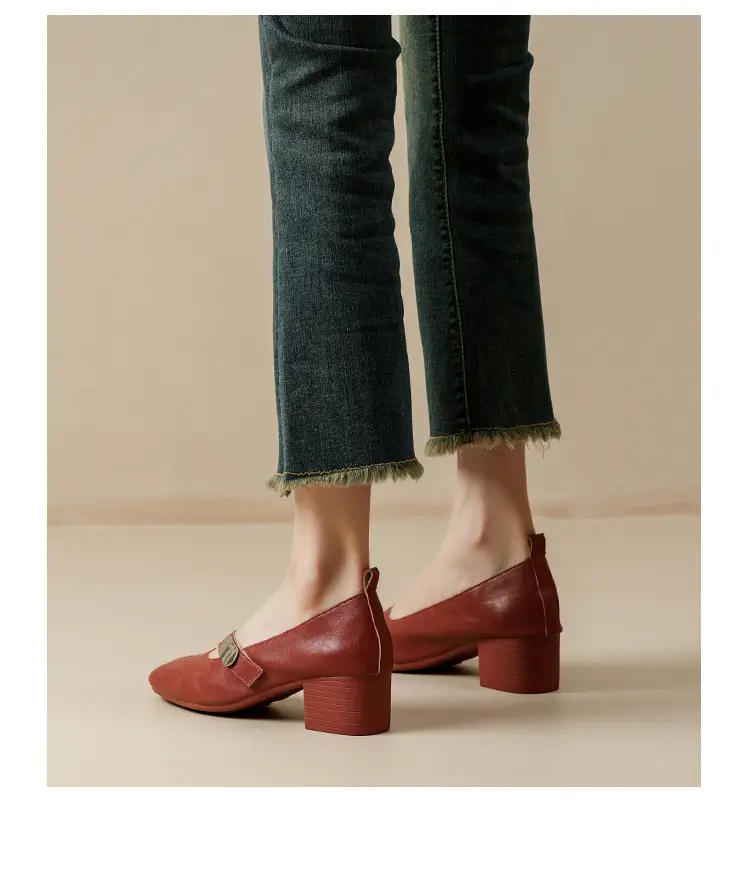 2025 Spring New Retro Fashion Shallow Mouth Elegant Fashionable Square Heeled Fashion Single-layer Shoes Square Toe Mary Jane Shoes for Women — feature 36