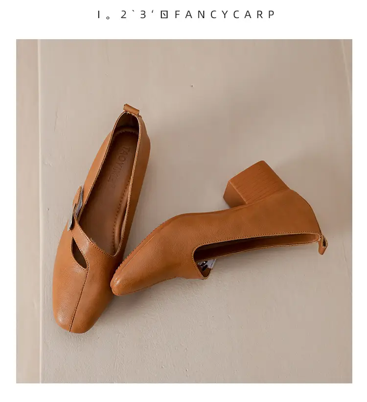 2025 Spring New Retro Fashion Shallow Mouth Elegant Fashionable Square Heeled Fashion Single-layer Shoes Square Toe Mary Jane Shoes for Women — feature 41