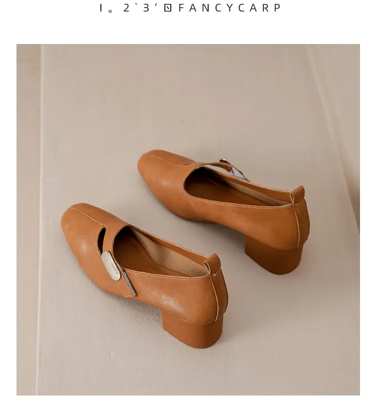 2025 Spring New Retro Fashion Shallow Mouth Elegant Fashionable Square Heeled Fashion Single-layer Shoes Square Toe Mary Jane Shoes for Women — feature 42