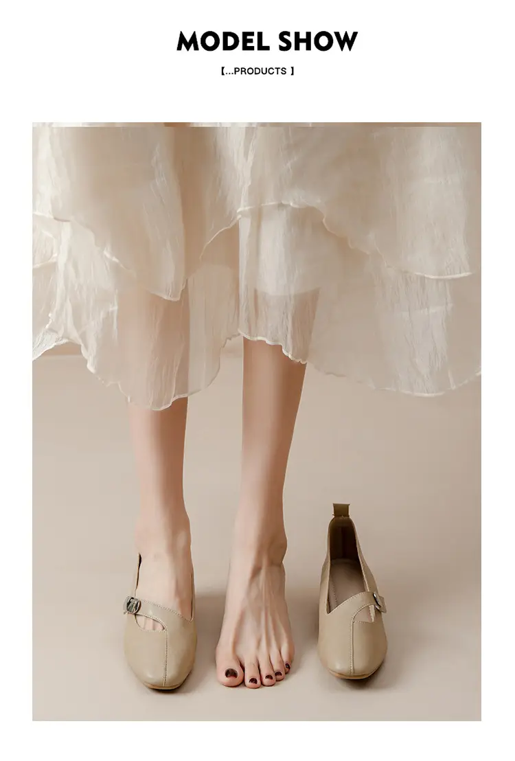 2025 Spring New Retro Fashion Shallow Mouth Elegant Fashionable Square Heeled Fashion Single-layer Shoes Square Toe Mary Jane Shoes for Women — feature 43