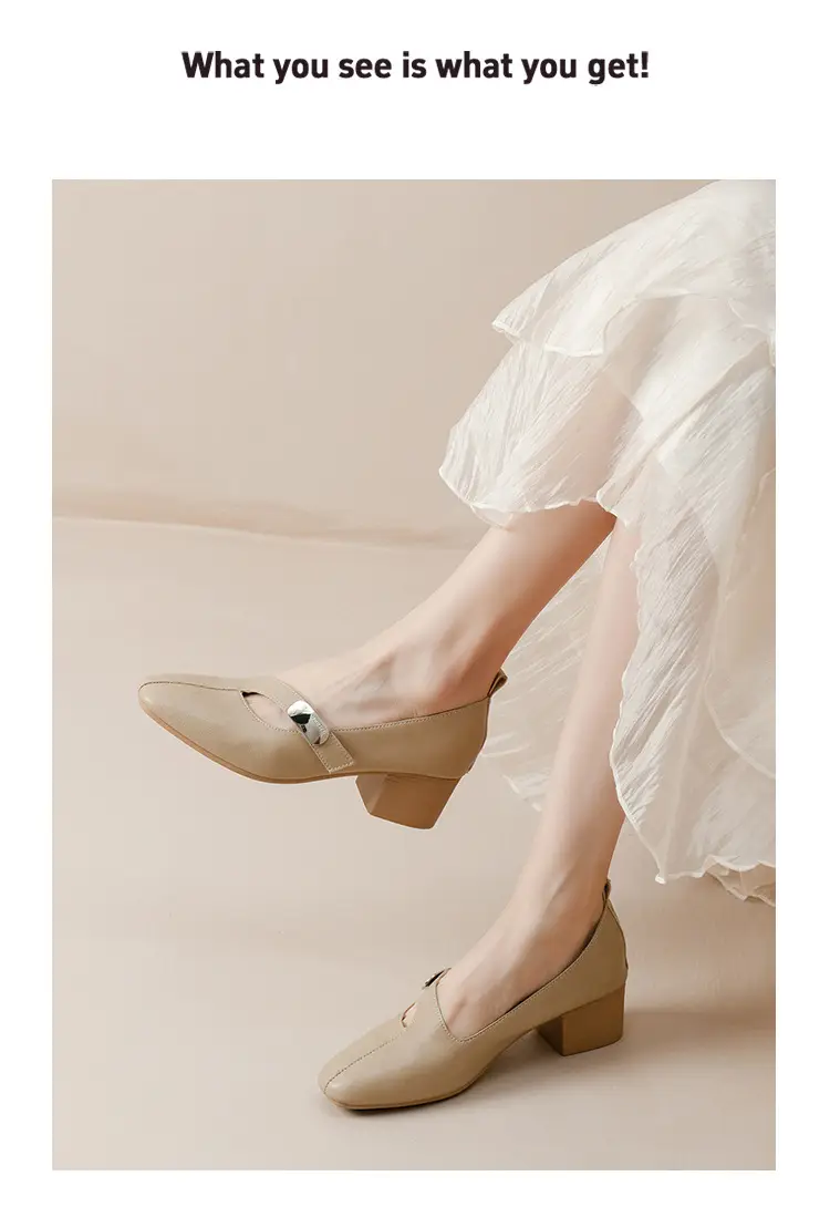 2025 Spring New Retro Fashion Shallow Mouth Elegant Fashionable Square Heeled Fashion Single-layer Shoes Square Toe Mary Jane Shoes for Women — feature 45