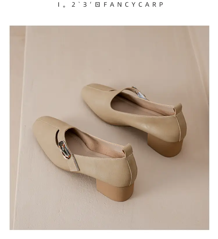 2025 Spring New Retro Fashion Shallow Mouth Elegant Fashionable Square Heeled Fashion Single-layer Shoes Square Toe Mary Jane Shoes for Women — feature 47