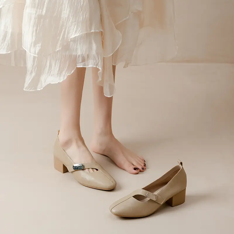 2025 Spring New Retro Fashion Shallow Mouth Elegant Fashionable Square Heeled Fashion Single-layer Shoes Square Toe Mary Jane Shoes for Women - Image 2