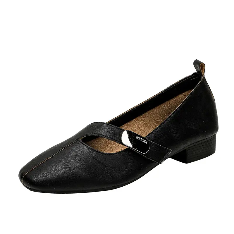 2025 Spring New Retro Fashion Shallow Mouth Elegant Fashionable Square Heeled Fashion Single-layer Shoes Square Toe Mary Jane Shoes for Women - Image 6