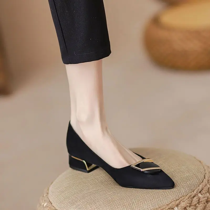Pointed Toe Shallow Heel High Shoes Thick Heel Flats Women's Spring & Fall New Low Heel 3cm Non-Tiring Feet Large Size Black Work Shoes — feature 1