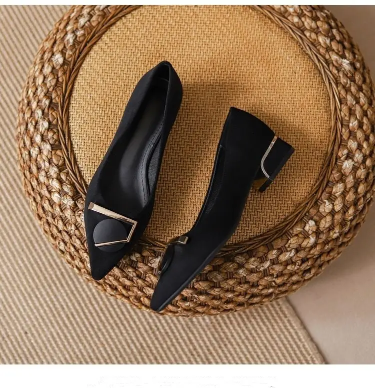 Pointed Toe Shallow Heel High Shoes Thick Heel Flats Women's Spring & Fall New Low Heel 3cm Non-Tiring Feet Large Size Black Work Shoes — feature 11