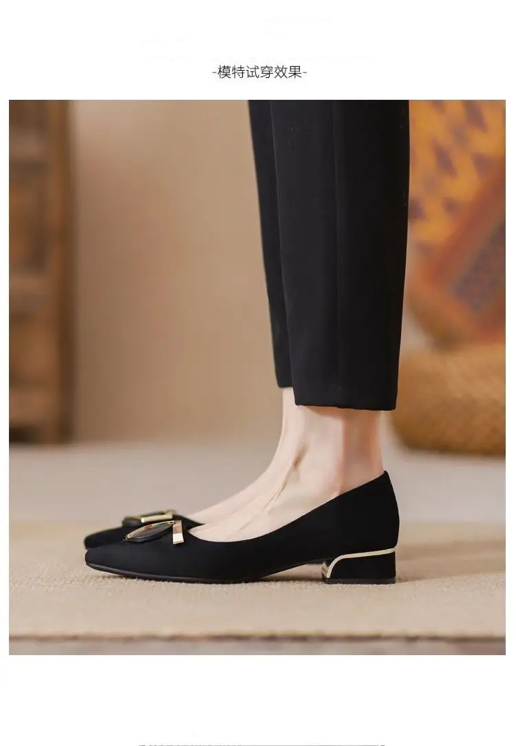 Pointed Toe Shallow Heel High Shoes Thick Heel Flats Women's Spring & Fall New Low Heel 3cm Non-Tiring Feet Large Size Black Work Shoes — feature 6