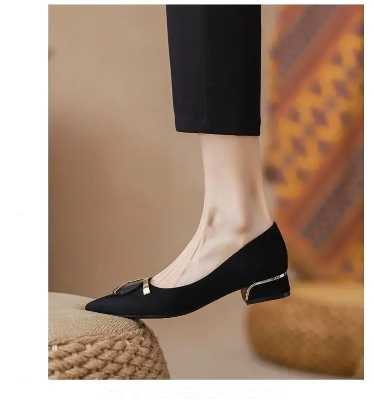 Pointed Toe Shallow Heel High Shoes Thick Heel Flats Women's Spring & Fall New Low Heel 3cm Non-Tiring Feet Large Size Black Work Shoes — feature 8
