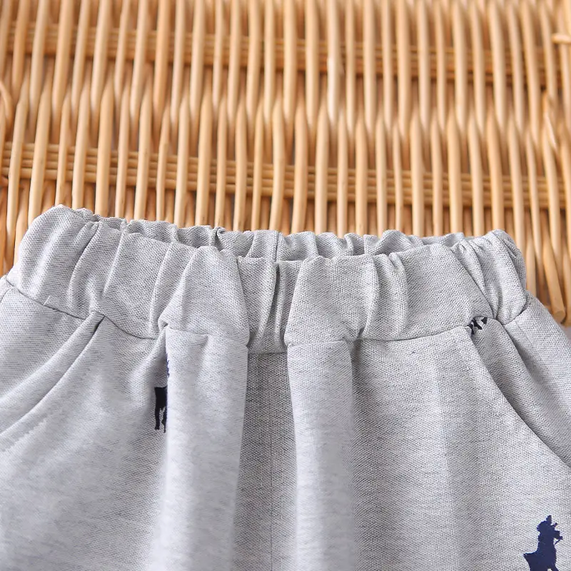 Boys' White Printed Short Sleeve T-Shirt Shorts Set 2025 — feature 19