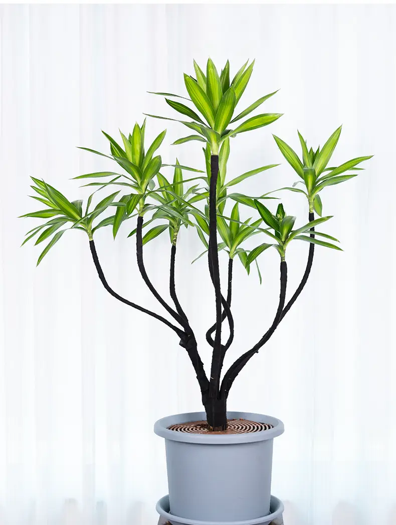 Gardening Bonsai Wire Shaping Special Tying Wire Soft Binding Wire Shaping Flower Pot Shaping Tool — feature 7