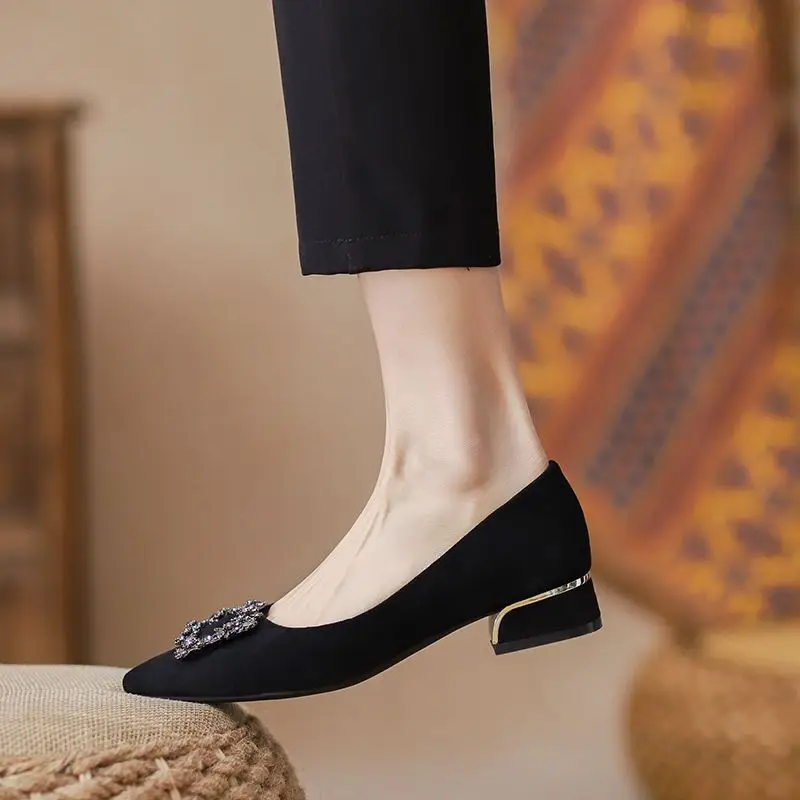Thick-Heeled Women's Shoes for Summer 2026, New Spring and Autumn Style, Pointed Toe, Elegant Shallow Mouth, Black High-Heeled Shoes for Commuting, Mid-Heel Work Shoes