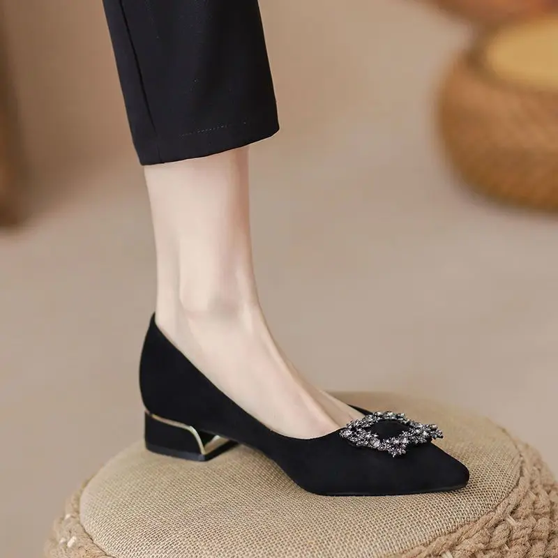 Thick-Heeled Women's Shoes for Summer 2026, New Spring and Autumn Style, Pointed Toe, Elegant Shallow Mouth, Black High-Heeled Shoes for Commuting, Mid-Heel Work Shoes — feature 1
