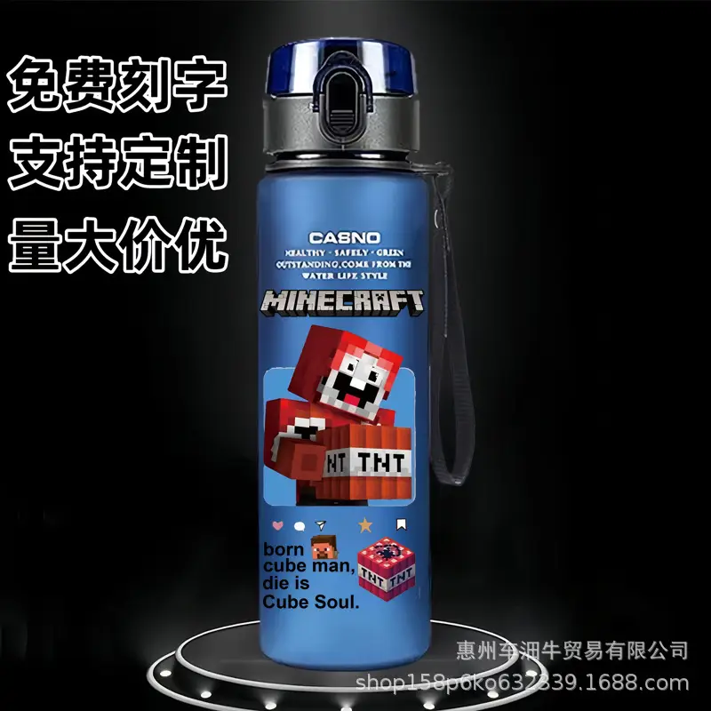 Cross-border new my world animation students children cartoon casual sports water cup plastic frosted cup